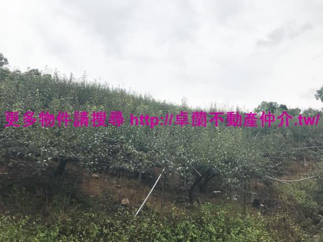 卓蘭農地-1