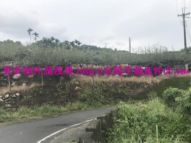 卓蘭農地-7