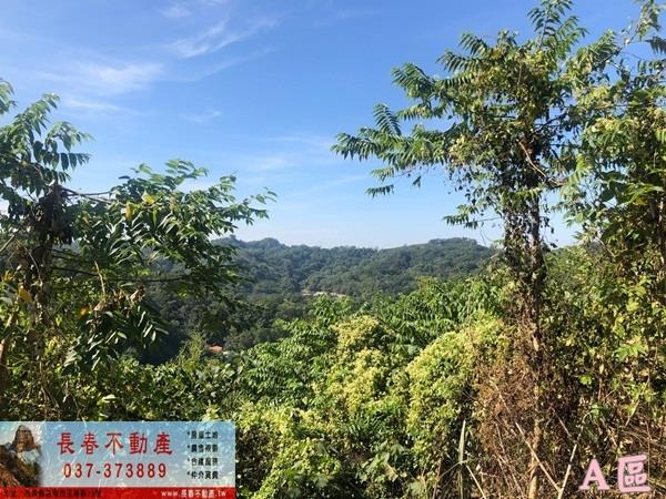 公館農地-5