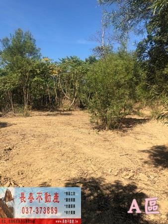 公館農地-6