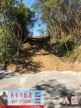 公館農地-8