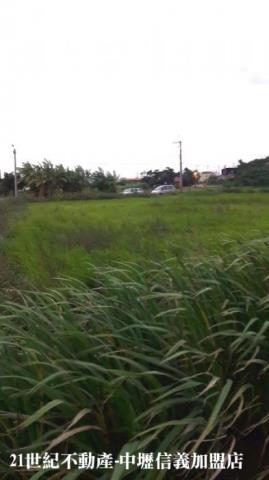 楊梅農地-6