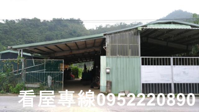 新北農地-2