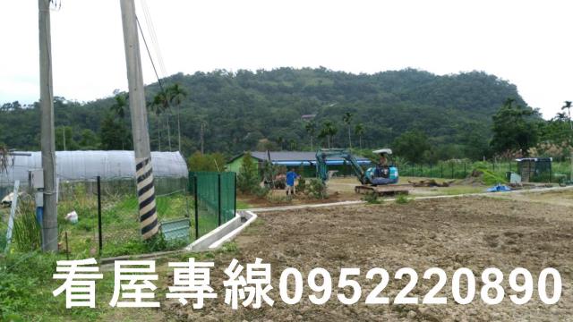 新北農地-5