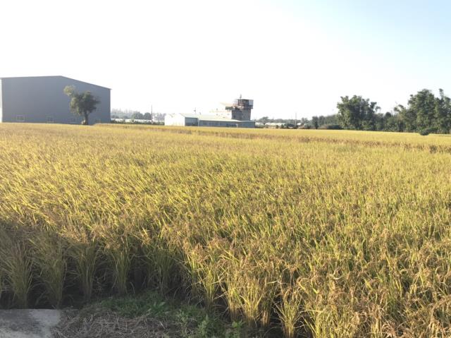 后里田建-1