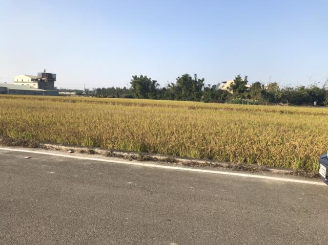 后里田建-2