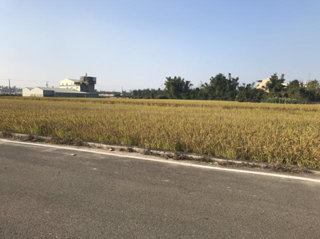 后里田建-3