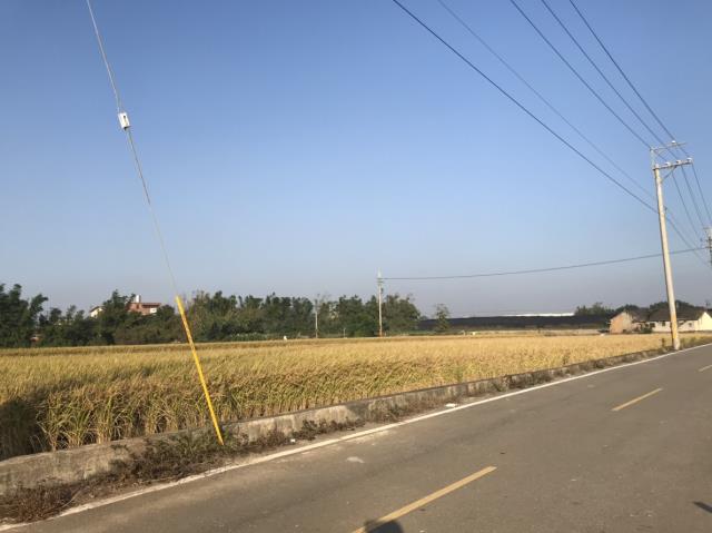 后里田建-5