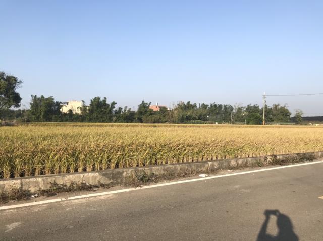 后里田建-6