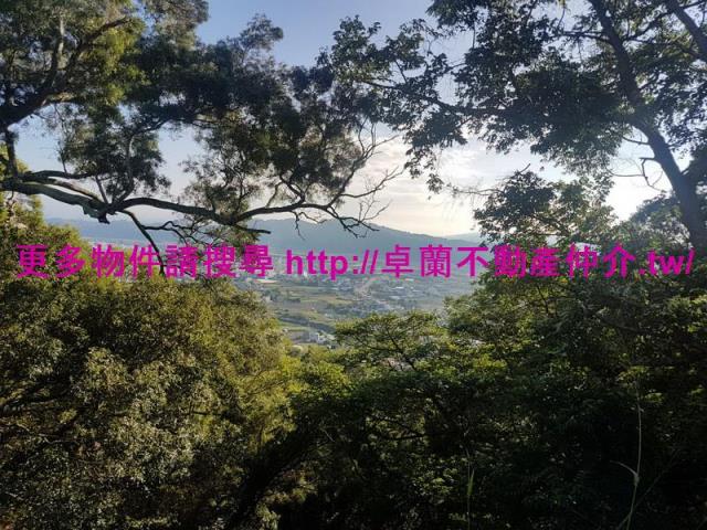 苗栗農地-10