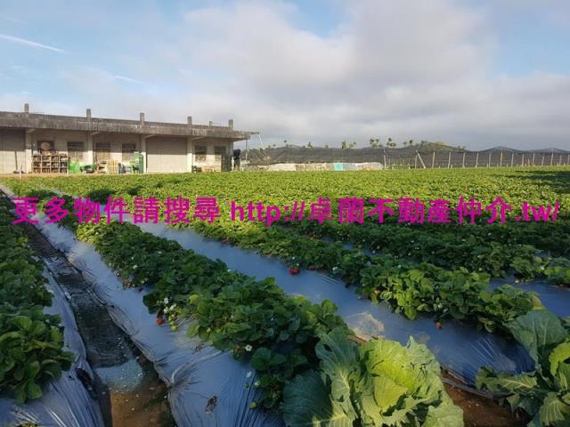 苗栗農地-1