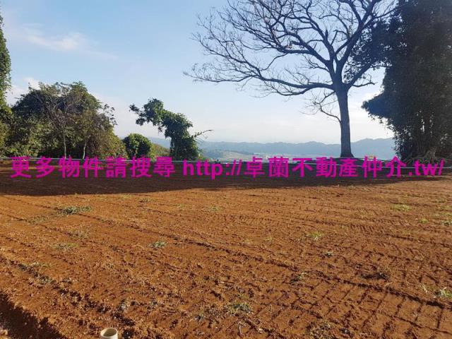 苗栗農地-4