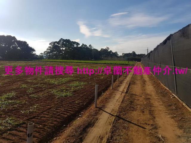 苗栗農地-6