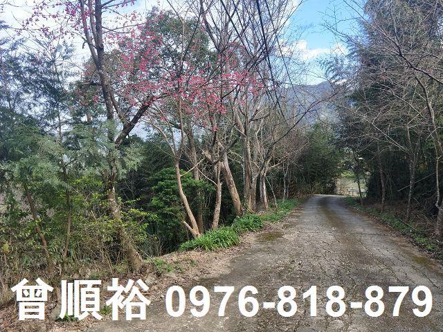 新竹農地-10