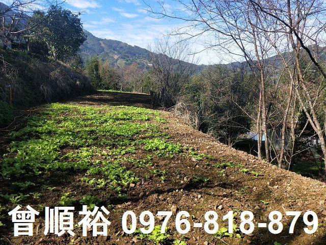 新竹農地-5