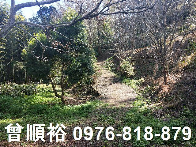 新竹農地-6