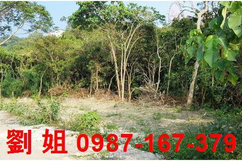 高雄仁武農地-1
