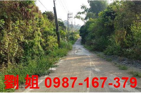 高雄仁武農地-2
