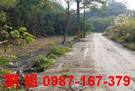 高雄仁武農地-1