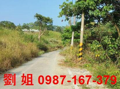 高雄仁武農地-2