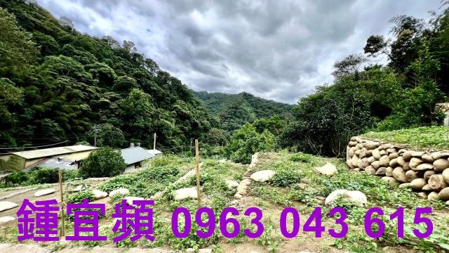 新竹農地-4