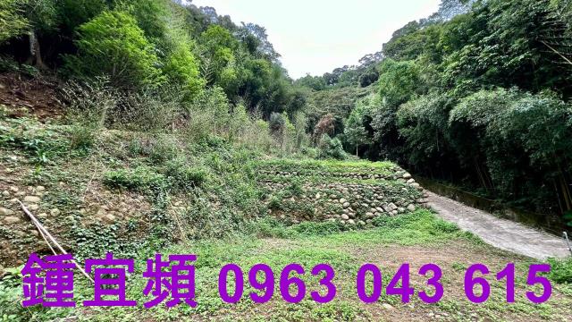 新竹農地-6