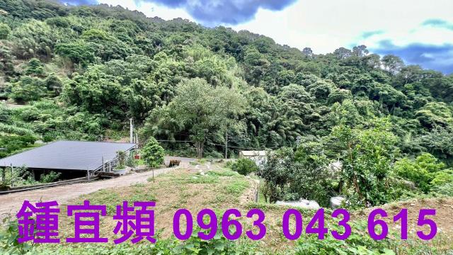 新竹農地-7