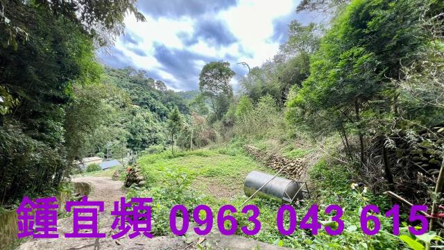 新竹農地-9