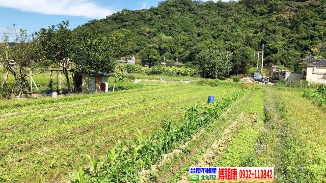 芎林農地-13