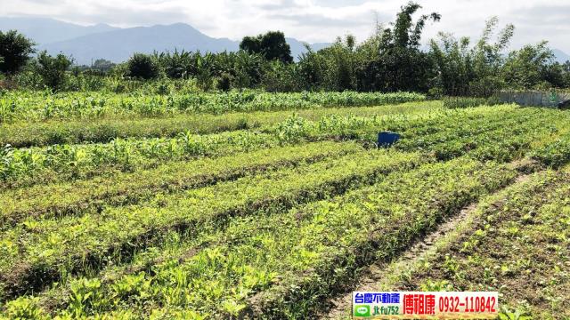 芎林農地-14