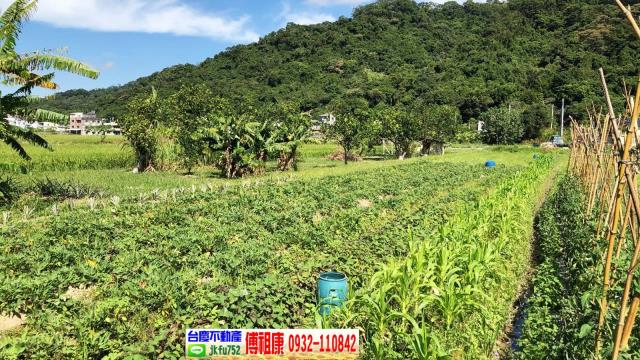 芎林農地-4