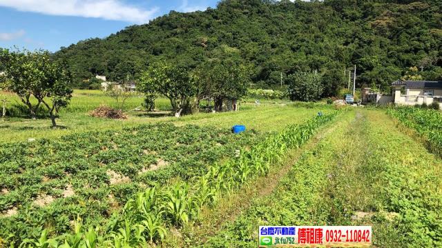 芎林農地-6