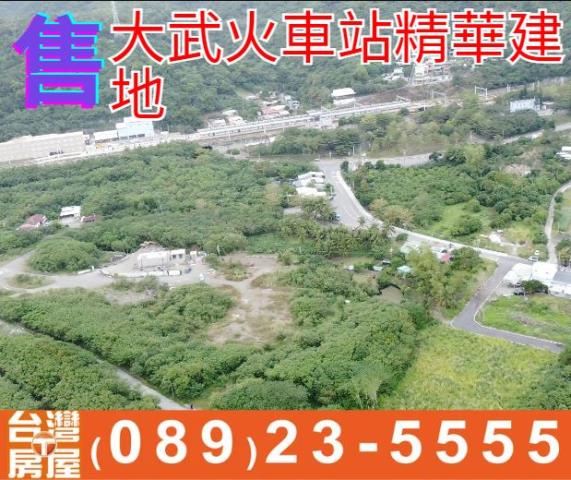 台東建地-2