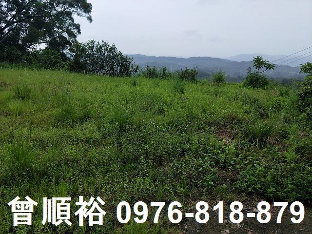 新竹北埔農地-1