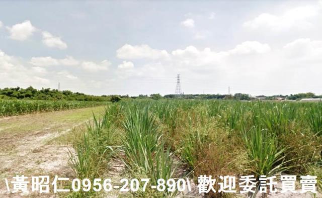 台南歸仁農地-1