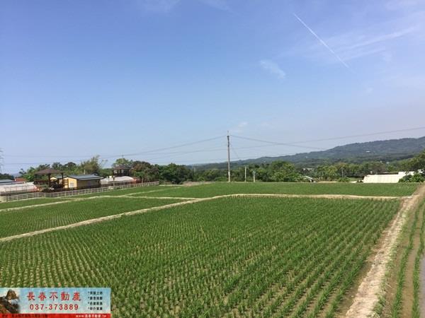 苗栗農地-1