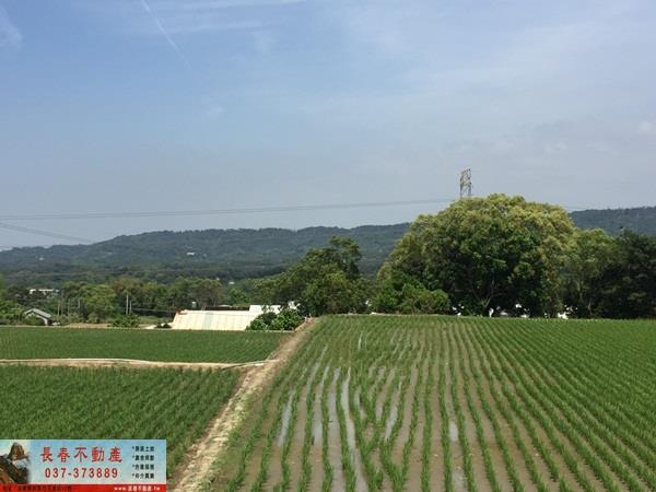 苗栗農地-2