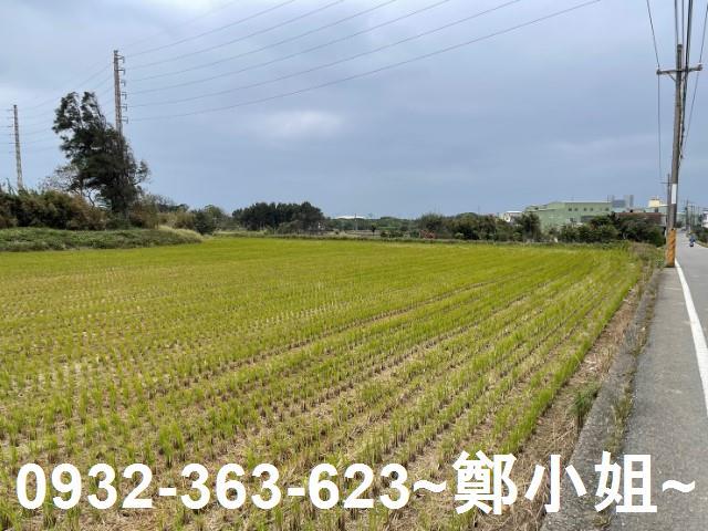 桃園新屋農地-11