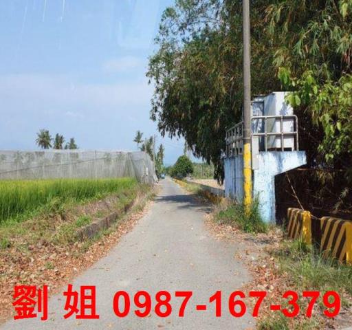 高雄旗山農地-2