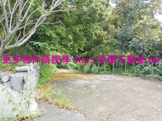 苗栗大湖農地-1