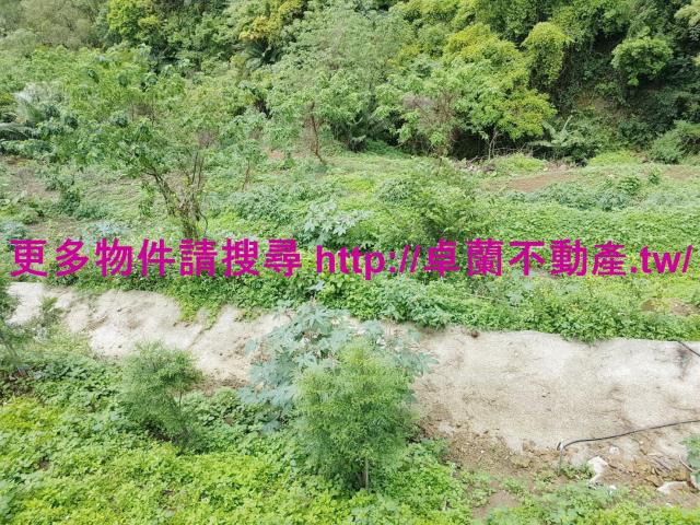 苗栗大湖農地-5