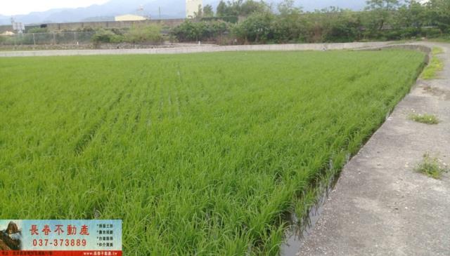 銅鑼農地-2