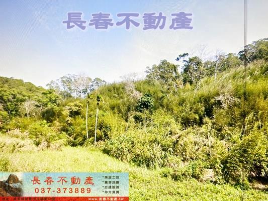 苗栗通霄農地-2