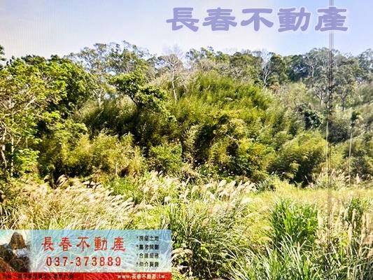 苗栗通霄農地-3