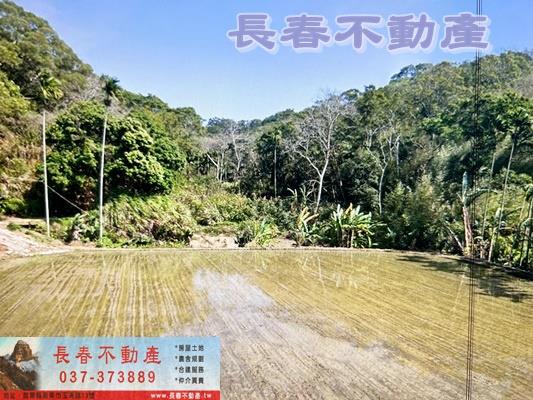 苗栗通霄農地-4