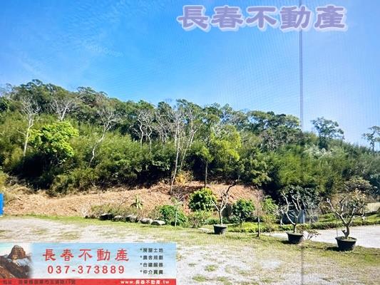 苗栗通霄農地-5