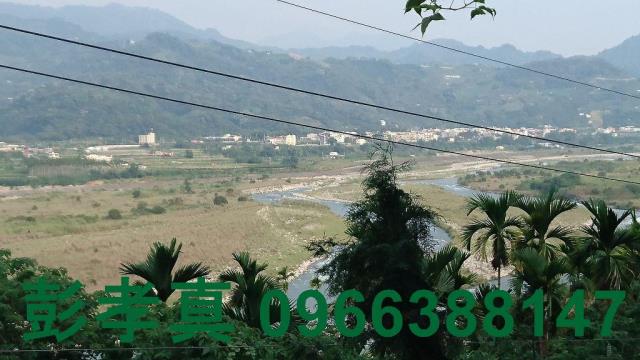 台中林地-4