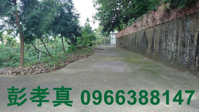 台中林地-1