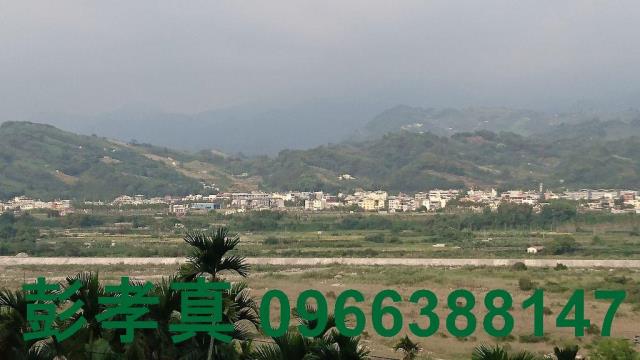 台中林地-6