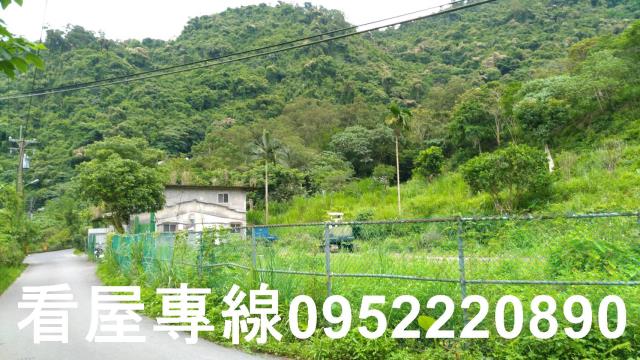 新店山坡地-10